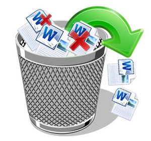 Deleted File Recovery Perth